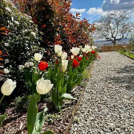 La Caborne アパート リヨン